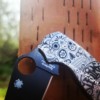Spyderco PM2 - Sugar Skull - Sublime - Fiber Laser Deep Engraved - PM2 Titanium Knife Scales - EDC Gear - Knife & Hardware Optional