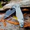 Spyderco Yojimbo 2 - Geometric Pattern - Deep Laser Engraved - Stonewash Titanium Scales - EDC Gear
