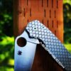 Spyderco PM2 - Dragon Scale - Fish Scale - Fiber Laser Deep Engraved - Titanium Knife Scales - EDC Gear - Knife & Hardware Optional