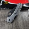 PM3 MAGNACUT Spyderco Para 3 Salt with AWT Skinny Cut titanium scales with V3 Modular stonewashed Pocket Clip - COMPLETE Knife! New In Box