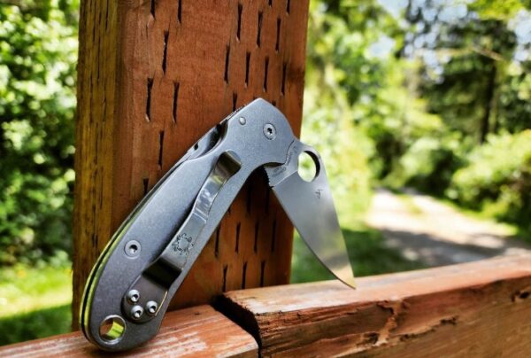 PM3 SKINNY - Titanium Scales for Spyderco Paramilitary 3 - Stonewash - EDC Gear - Knife Install Optional