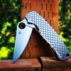 il_fullxfull.5126185358_9bz2-1.jpg Dragon Scale - Fish Scale - Spyderco PM2 TI - Fiber Laser Deep Engraved - Titanium Knife Scales - EDC Gear - Knife & Hardware Optional