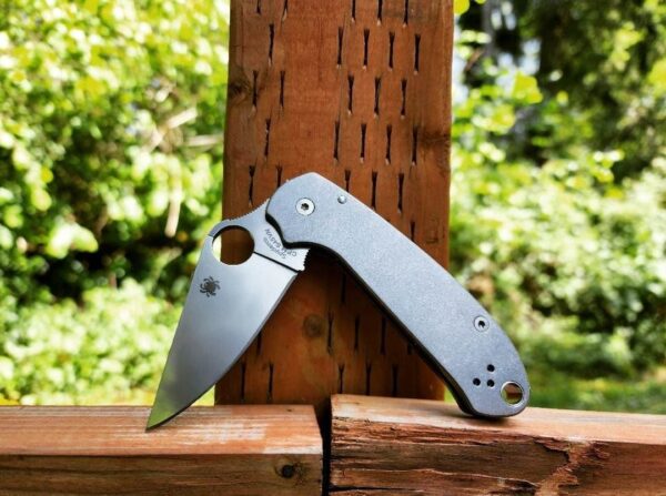 il_fullxfull.5004784465_3uwo.jpg PM3 SKINNY - Titanium Scales for Spyderco Paramilitary 3 - Stonewash - EDC Gear - Knife Install Optional